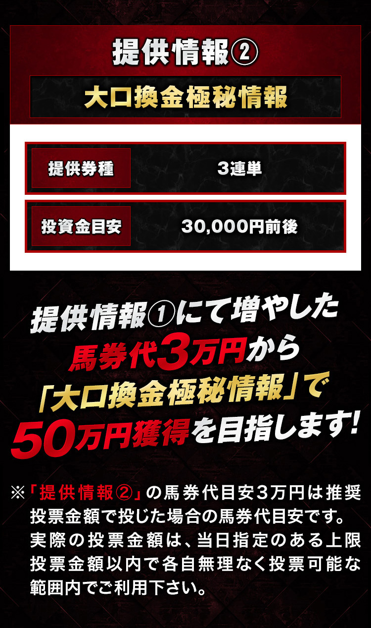 調達目標50万円極秘プロジェクト2