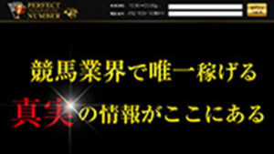 パーフェクトナンバーは悪徳or詐欺？口コミ評判、検証内容、サイト情報まとめ