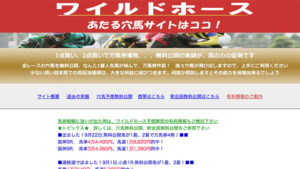 ワイルドホースは悪徳or詐欺？口コミ評判、検証内容、サイト情報まとめ